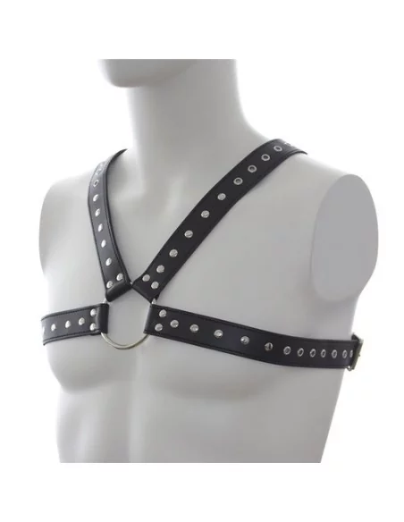 Harnais SM Stud Chest Harnais SM Stud Chest