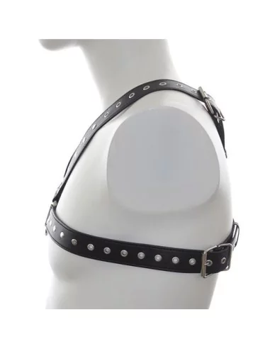 Harnais SM Stud Chest