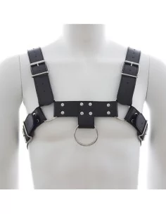 Harnais SM Upper Body Chest