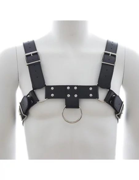 Harnais SM Upper Body Chest