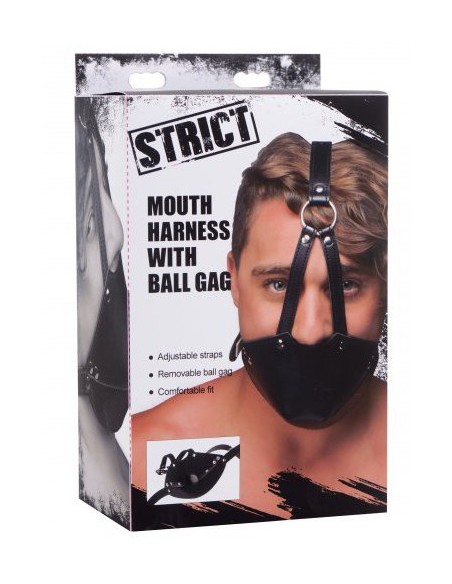 Masque de Bouche avec Baillon Boule