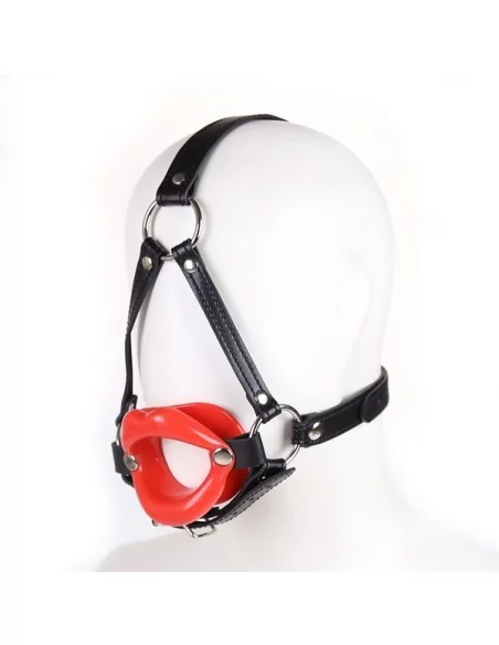 Baillon SM Lips et Harnais