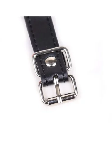 Baillon SM Lips et Harnais