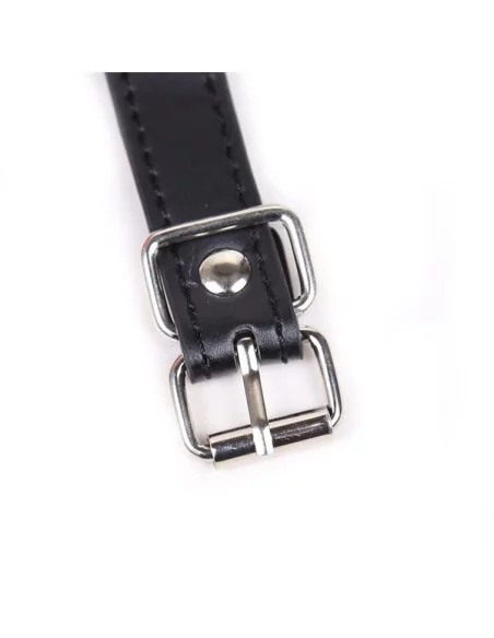 Baillon SM Lips et Harnais