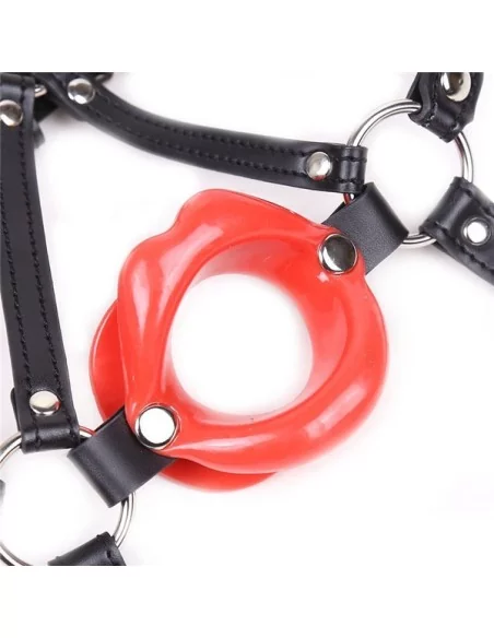 Baillon SM Lips et Harnais