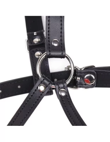 Baillon SM Lips et Harnais