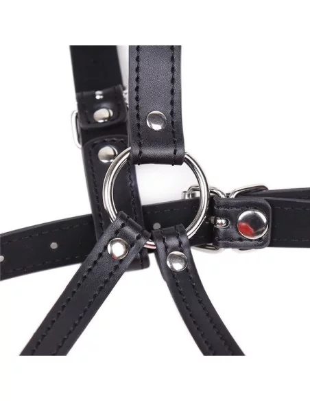 Baillon SM Lips et Harnais