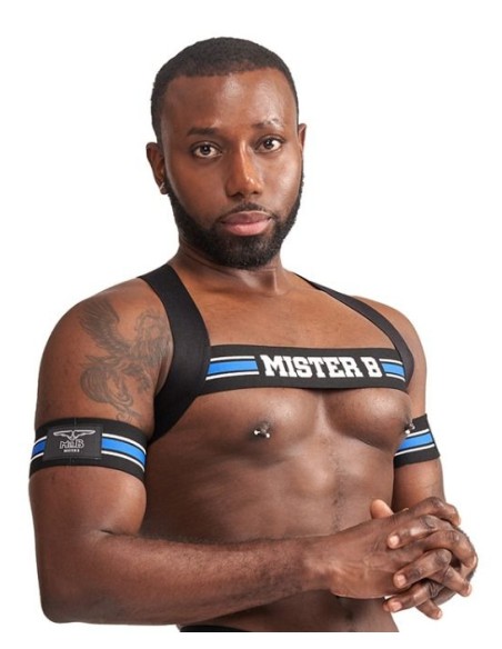 Harnais élastique X-Back Noir-Bleu