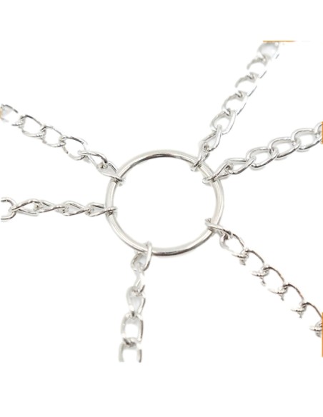 Pinces pour tétons et zones intimes Nipple Quattuor