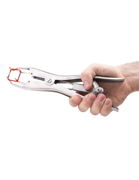 Pince pour Élastiques de Torture Elastratus