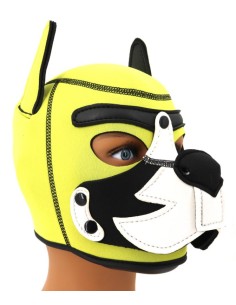 Cagoule Puppy Fox Néoprène Jaune-Blanc