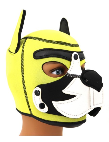 Cagoule Puppy Fox Néoprène Jaune-Blanc Cagoule Puppy Fox Néoprène Jaune-Blanc
