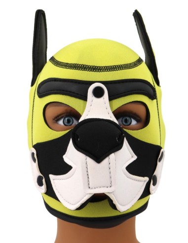 Cagoule Puppy Fox Néoprène Jaune-Blanc