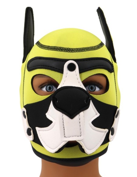 Cagoule Puppy Fox Néoprène Jaune-Blanc Cagoule Puppy Fox Néoprène Jaune-Blanc