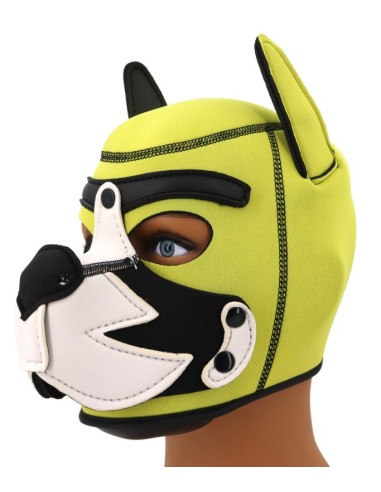 Cagoule Puppy Fox Néoprène Jaune-Blanc