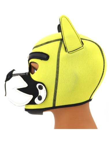 Cagoule Puppy Fox Néoprène Jaune-Blanc
