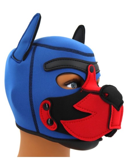 Cagoule Puppy Fox Néoprène Bleu-Rouge