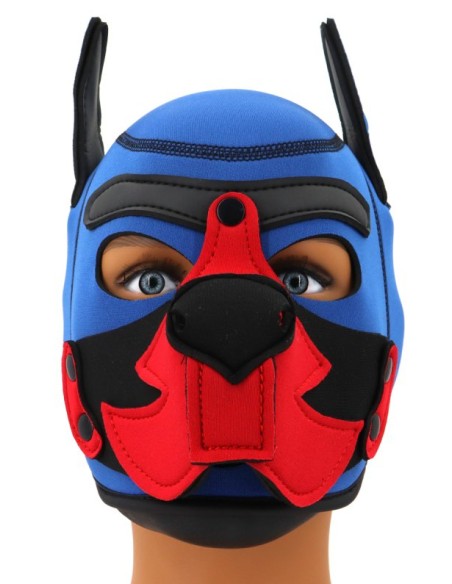 Cagoule Puppy Fox Néoprène Bleu-Rouge