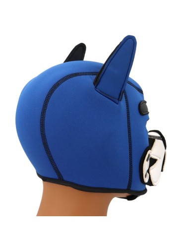 Cagoule Puppy Fox Néoprène Bleu-Blanc