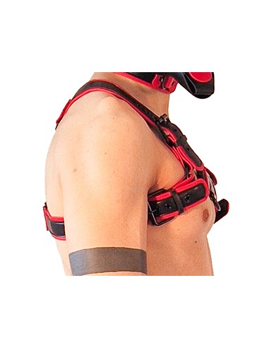 Harnais Puppy Harness Noir-Rouge