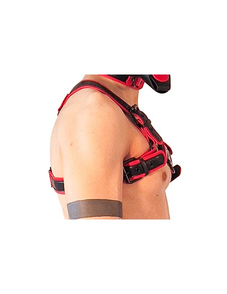 Harnais Puppy Harness Noir-Rouge