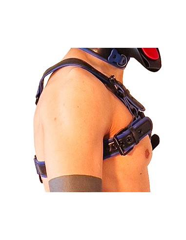 Harnais Puppy Harness Noir-Bleu