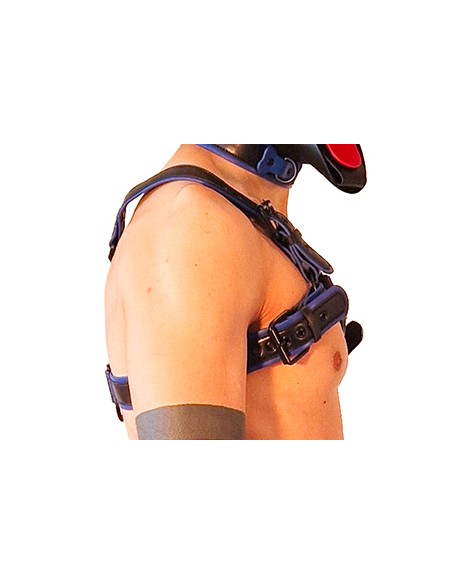 Harnais Puppy Harness Noir-Bleu