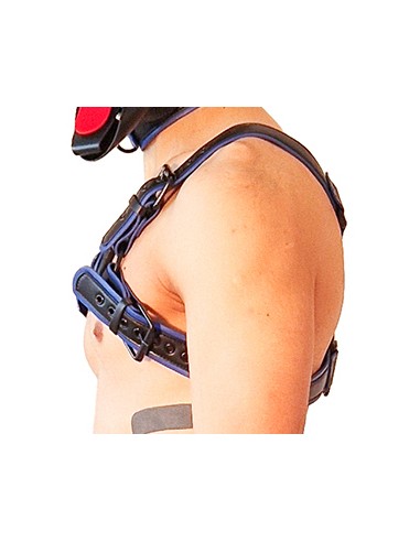 Harnais Puppy Harness Noir-Bleu