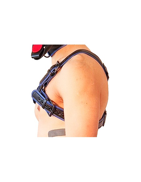 Harnais Puppy Harness Noir-Bleu