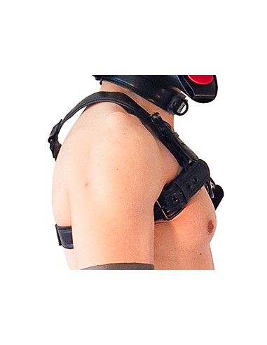 Harnais Puppy Harness Noir