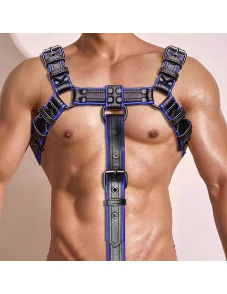 Harnais Simili Hashon Noir-Bleu