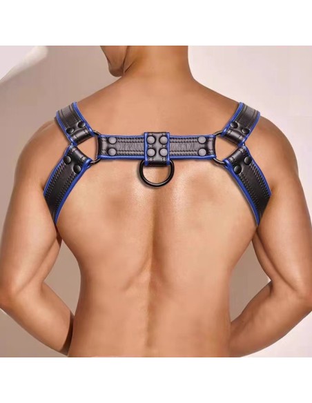 Harnais Simili Hashon Noir-Bleu