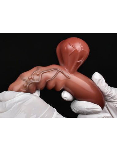 Gode Poignée Onduzio 12 x 3.8cm
