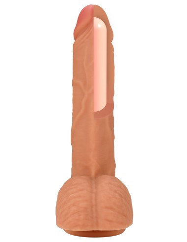 Gode Inferno Orso 19 x 4.5cm