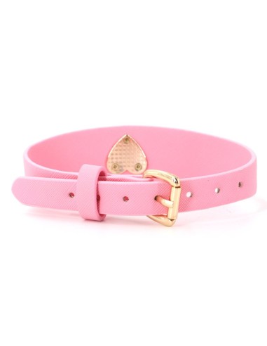 Collier-Laisse Barbing