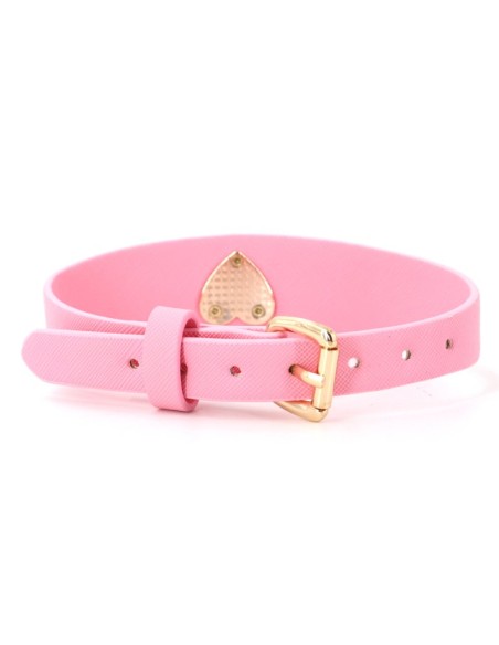 Collier-Laisse Barbing