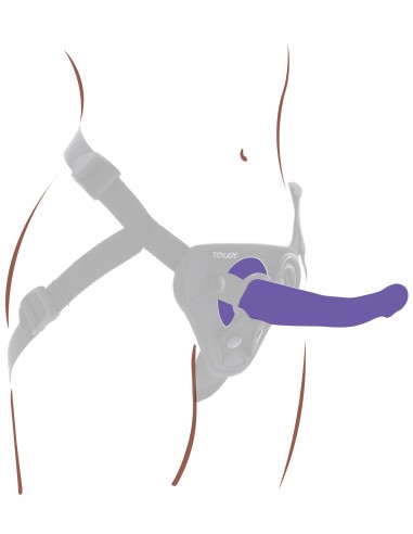 Harness Dong M Purple