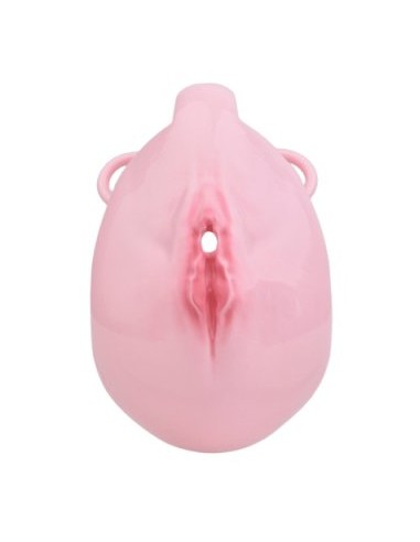 Cage de Chasteté avec Harnais Sislab 5.5 x 3.5cm Rose