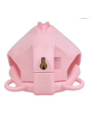 Cage de Chasteté avec Harnais Sislab 5.5 x 3.5cm Rose