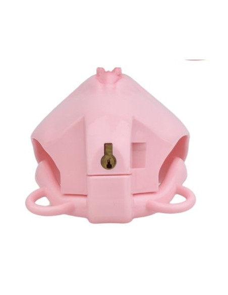 Cage de Chasteté avec Harnais Sislab 5.5 x 3.5cm Rose