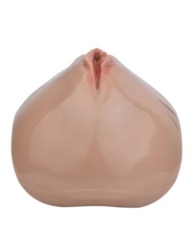 Cage de Chasteté avec Harnais Sislab 5.5 x 3.5cm Marron