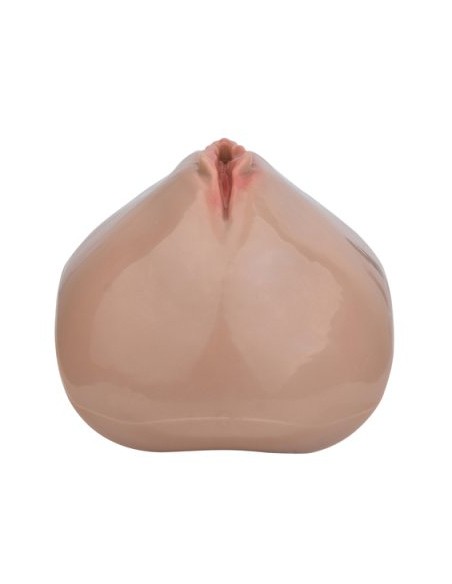 Cage de Chasteté avec Harnais Sislab 5.5 x 3.5cm Marron