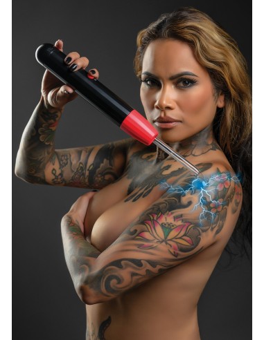 Bâton Wand Électro Taboom 4 Embouts