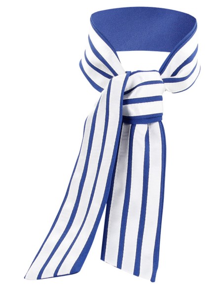 Costume sexy d'Hôtesse de l'air Stewardness S/M