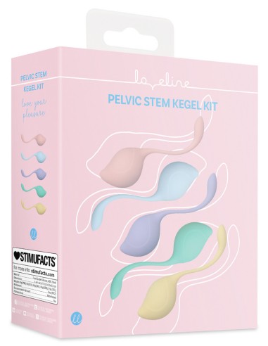 Kit de 5 Boules de Geisha Stemkit