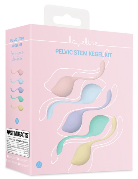 Kit de 5 Boules de Geisha Stemkit