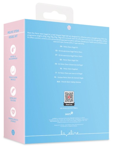 Kit de 5 Boules de Geisha Stemkit