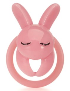 Cage Lapin 4.5 x 3 cm Rose