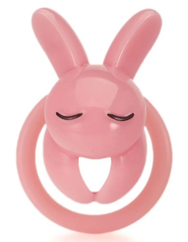 Cage Lapin 4.5 x 3 cm Rose