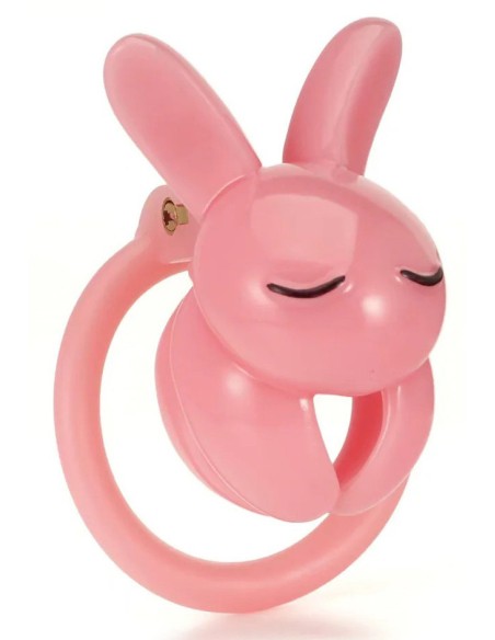 Cage Lapin 4.5 x 3 cm Rose